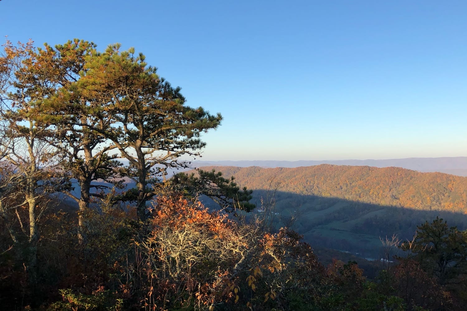 The Preserve A Legacy Of Mountain Living The Preserve - falconry